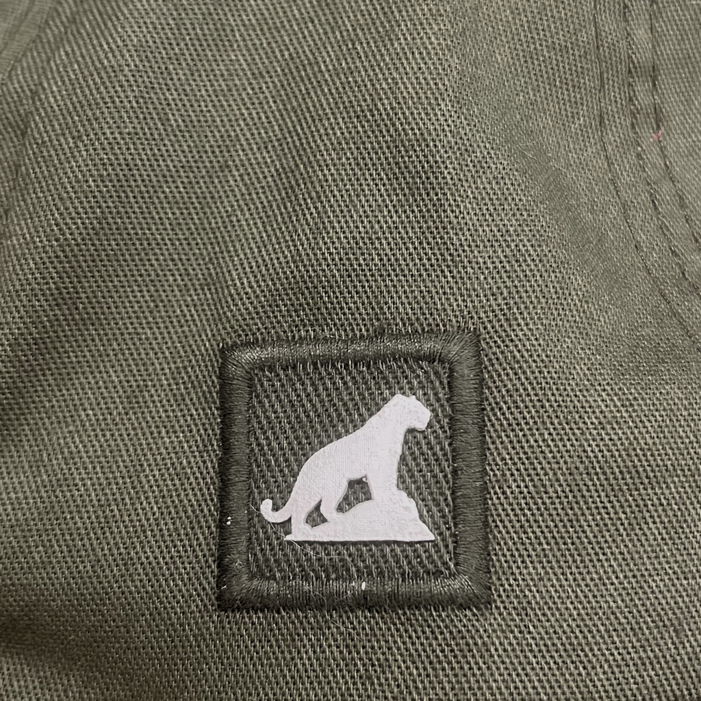 BONÉ DAD HAT STRAPBACK — VERDE OLIVA ASSINATURA PINDORAMA